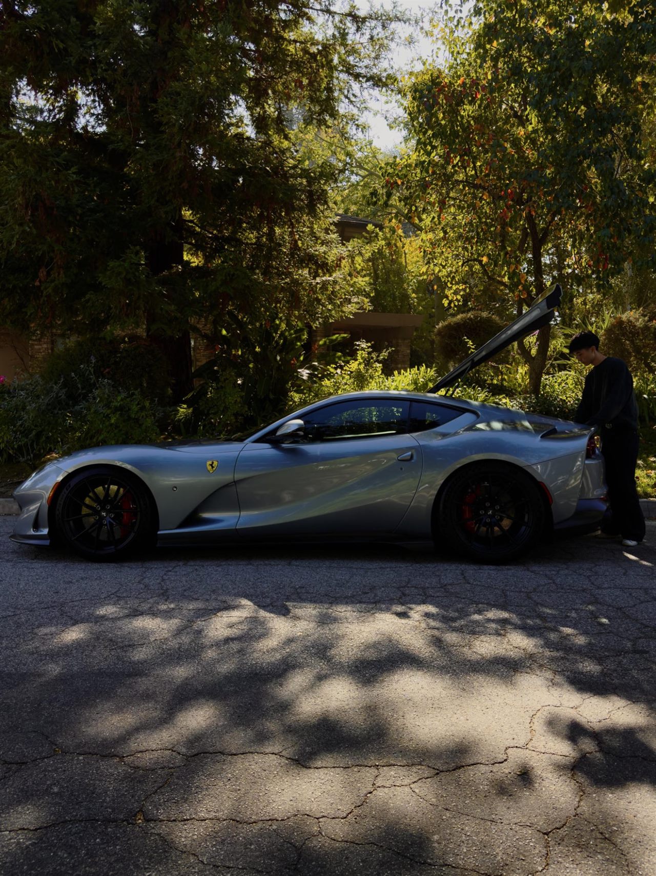 A silver coupe parked on a cracked drive beneath dense trees, the door raised